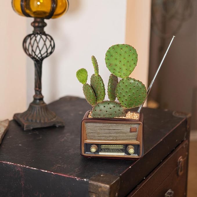 Radio Plant Pot