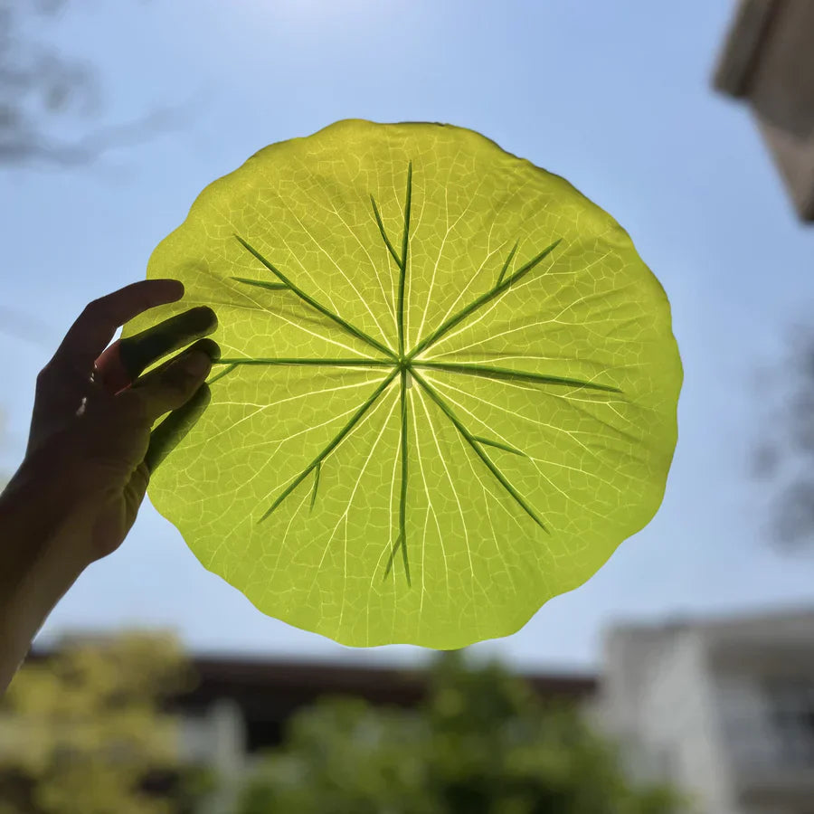 Lotus Leaf Dining Mats