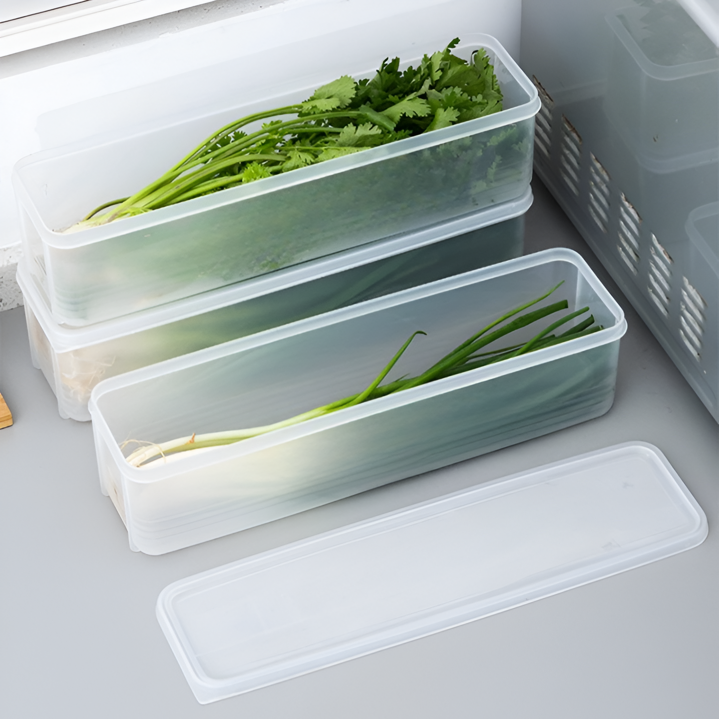 Vegetable Storage Box