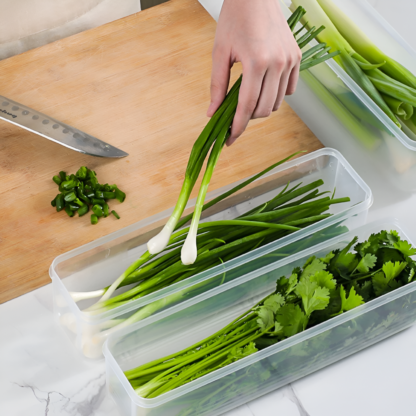 Vegetable Storage Box