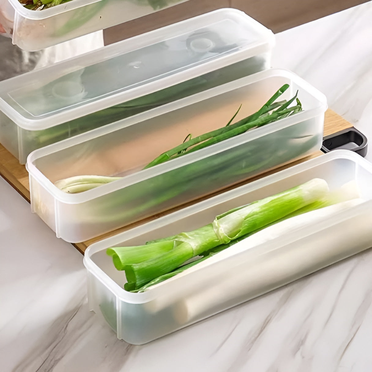Vegetable Storage Box