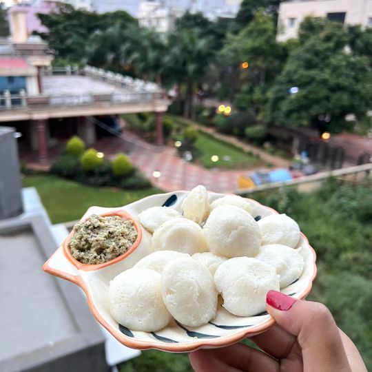 Stainless Steel Mini Idli Pot
