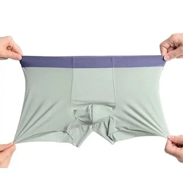 Coolmerixo Ice Silk Underwear for Men