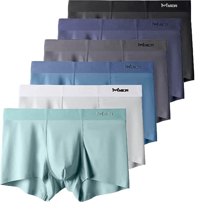 Coolmerixo Ice Silk Underwear for Men