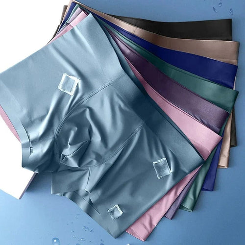 Coolmerixo Ice Silk Underwear for Men