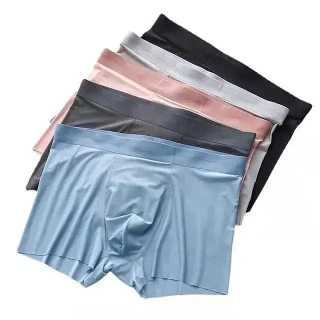 Coolmerixo Ice Silk Underwear for Men