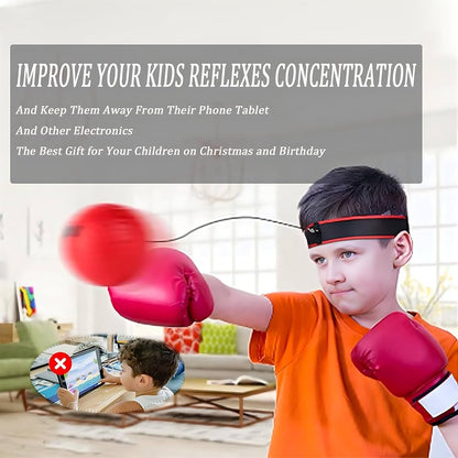 Boxing Reflex Ball