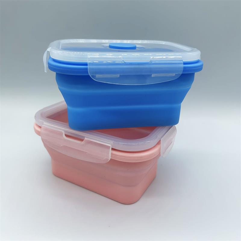 Collapsible Food Container (500 ml)