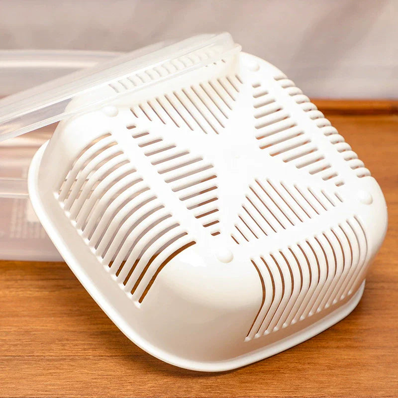 Double Layer Draining Box