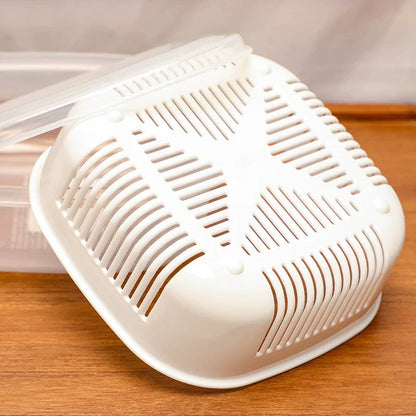 Double Layer Draining Box