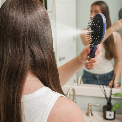 2 in 1 Hair Brush with Spray