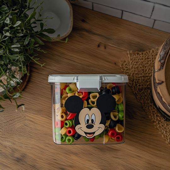 Disney Airtight Food Container (700 ML)