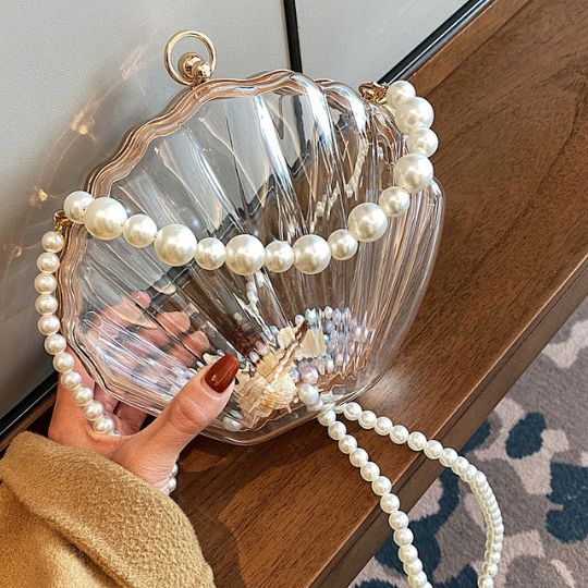 Transparent Shell Bag