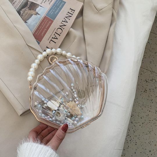 Transparent Shell Bag