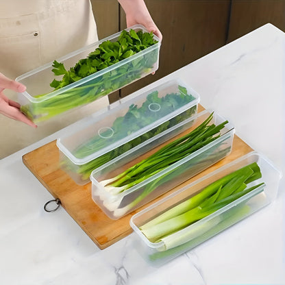 Vegetable Storage Box
