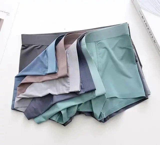 Coolmerixo Ice Silk Underwear for Men