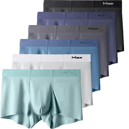 Coolmerixo Ice Silk Underwear for Men